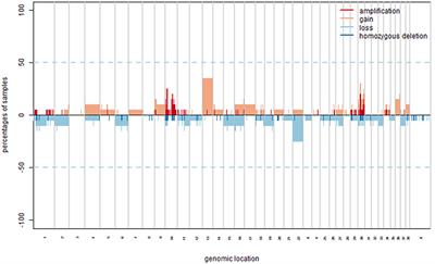 Array Comparative Genomic Hybridization Analysis Reveals Significantly Enriched Pathways in Canine Oral Melanoma